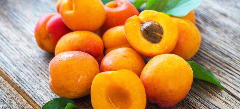 Benefits apricot Health Benefits